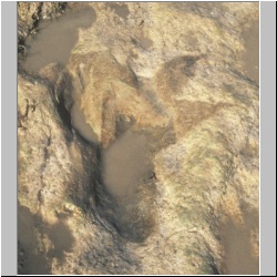 px84-s10-13 dodmcrop.jpg